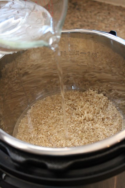 brown rice and water