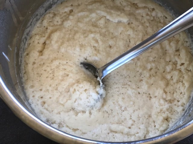 fermented idli batter in the instant pot