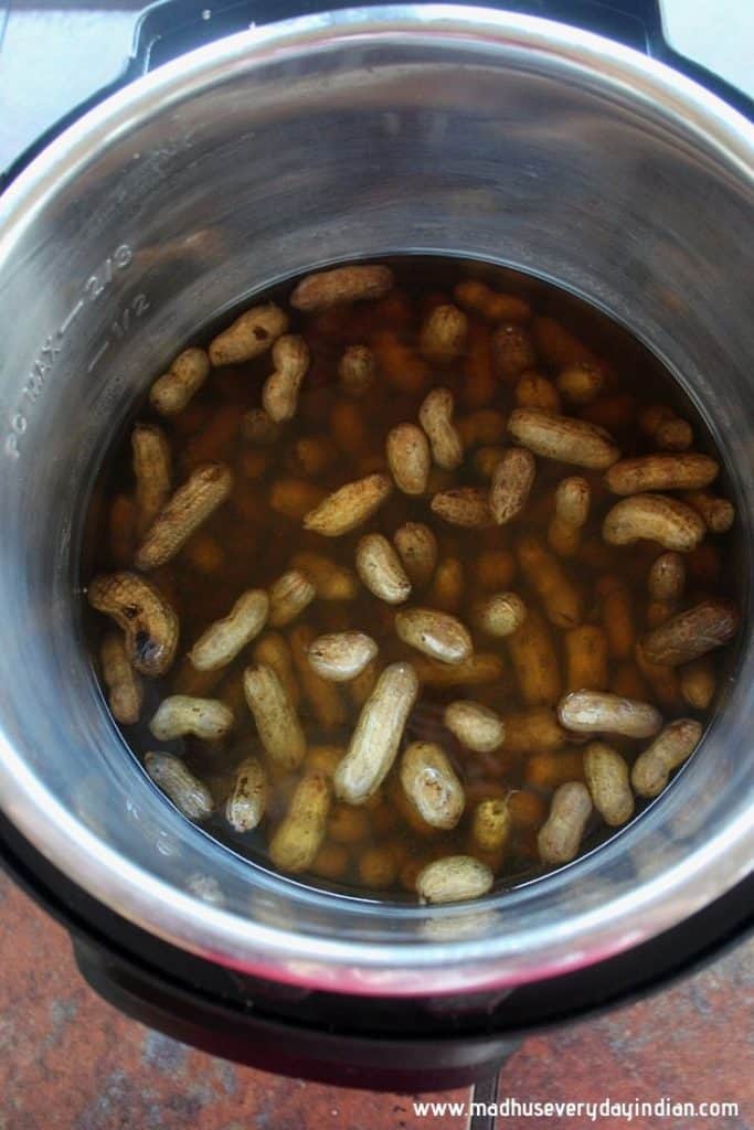 boiled peanuts in the instant pot