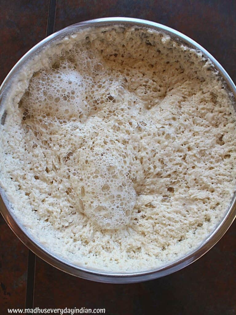 fermented dosa batter in a instant pot vessel